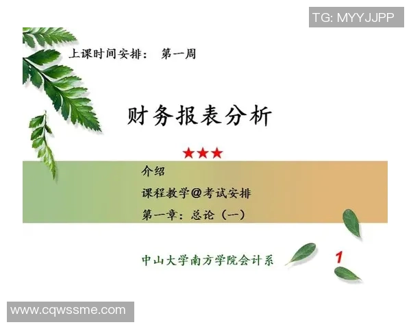 英超球队的财务报表与经济状况分析